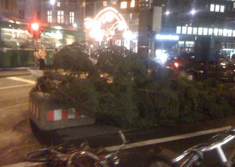 Mitten in Basel knickt ein Christbaum um